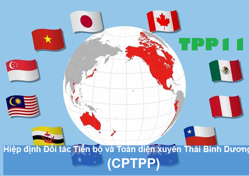 Acuerdo Comercial TPP 11 no incluirá normas de propiedad intelectual