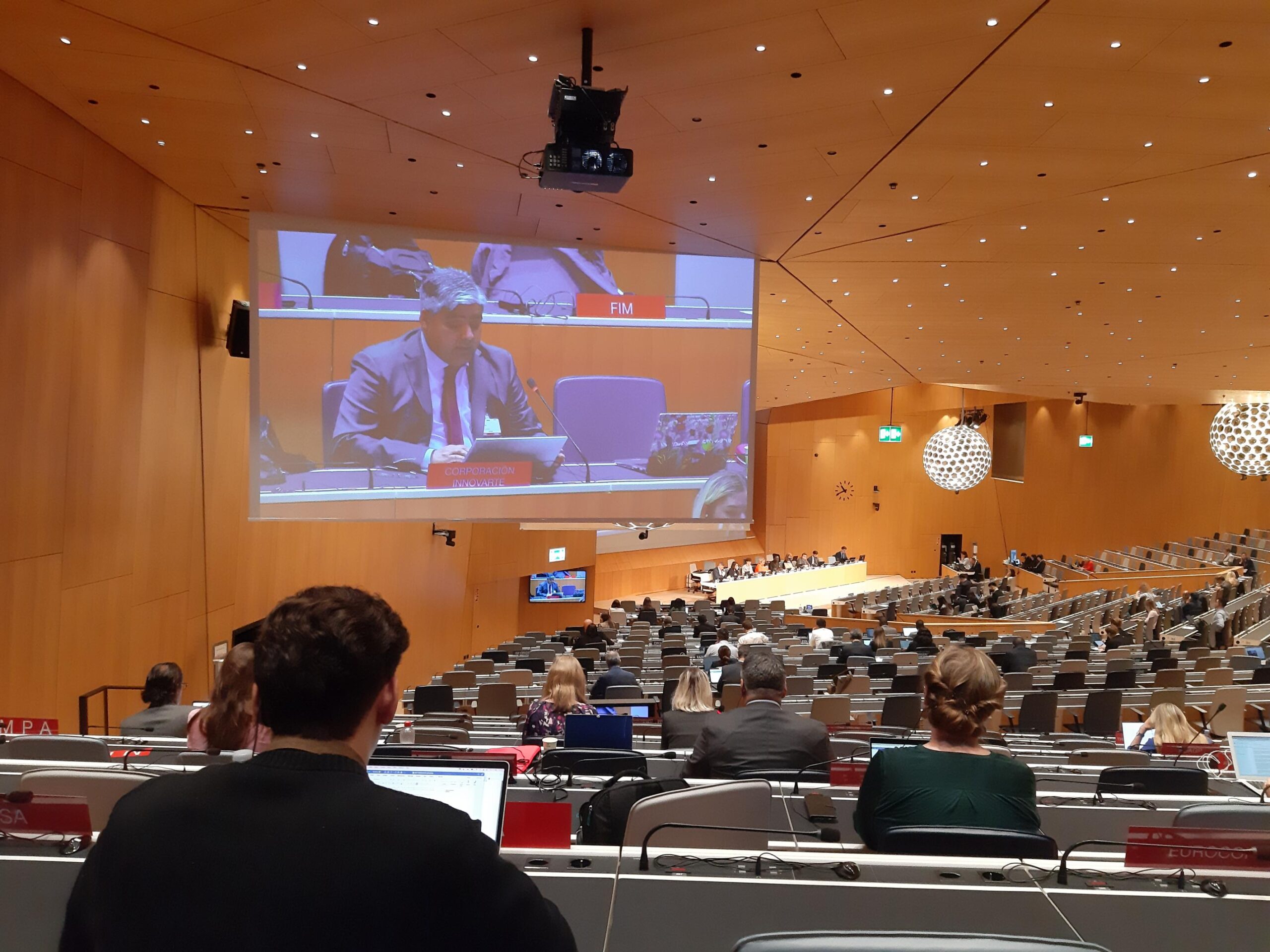 Executive Director of Innovarte participates in international negotiations at Session 42 of the WIPO SCCR